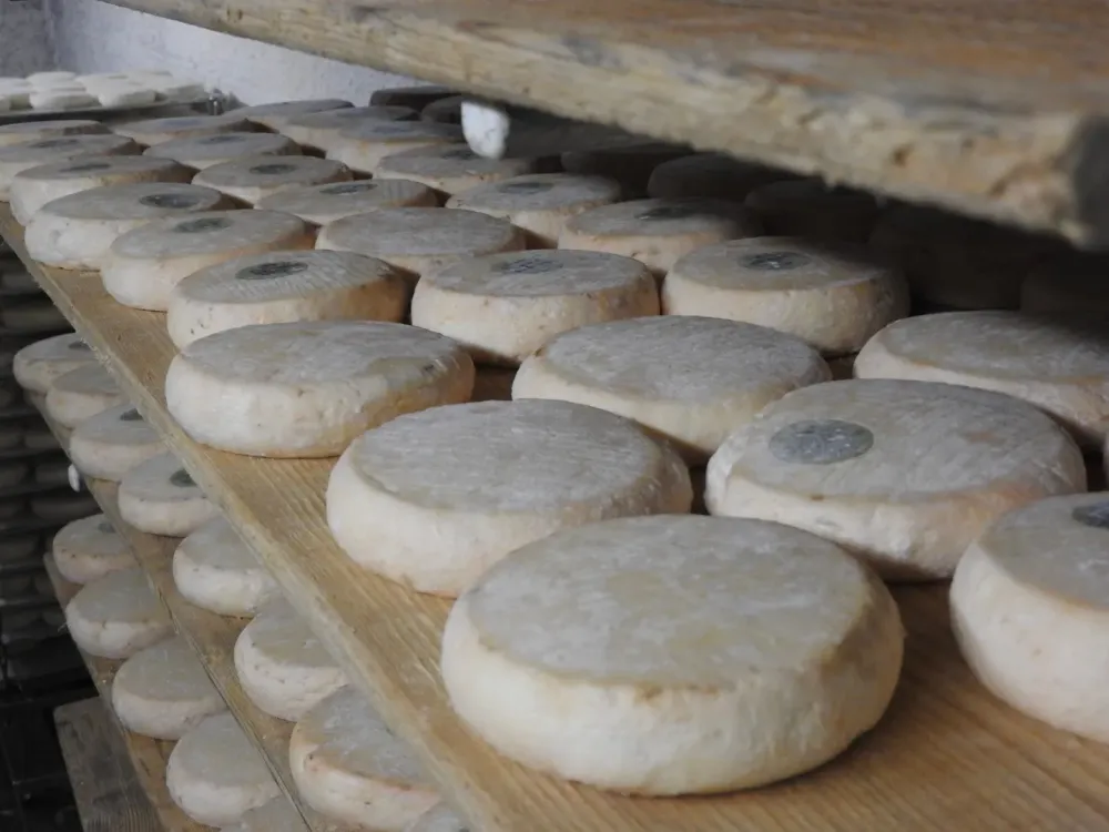 Fromage bio à Lugrin